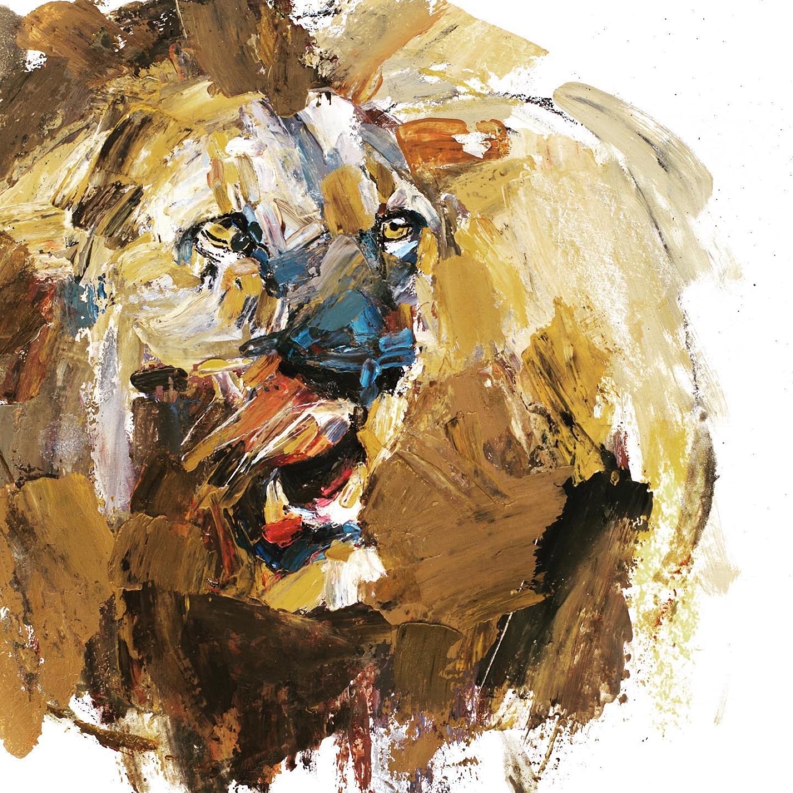 Lion Study